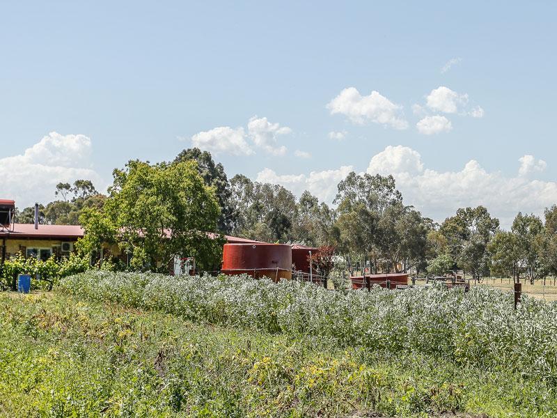 Kellers Bed And Breakfast Περθ Εξωτερικό φωτογραφία